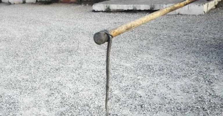 Εκλογές 2019: Μπήκε φίδι σε εκλογικό τμήμα!